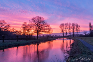 Natuur januari,februari 2020