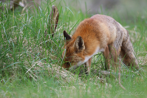 Natuur 2022